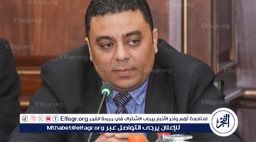 تخصيص 370 مليون جنيه لرصف الطرق