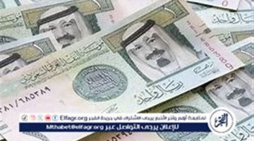 تراجع سعر الريال السعودي اليوم 16 ديسمبر 2024 مقابل الجنيه المصري