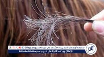 تعرف على طرق العناية بالشعر
