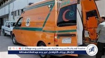 تفاصيل إصابة شقيقين بطلق ناري في مشاجرة بطلخا بالدقهلية