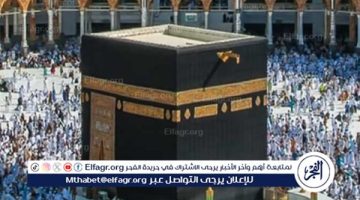تفاصيل القرعة الإلكترونية والبرامج المتاحة