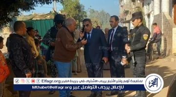 تفاصيل تفقد محافظ الدقهلية لـ “ عدد” من قرى مركز المنصورة
