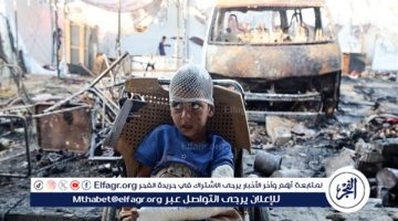 جميع قواعد خوض الحروب تم انتهاكها في غزة