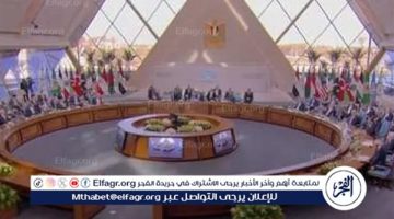 جهود مصر لتفعيل أطر التعاون بين أعضاء منظمة الدول الثماني النامية