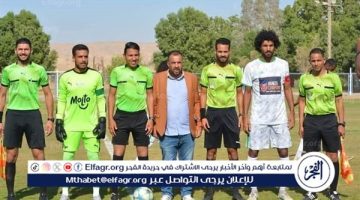 حصاد 10 جولات.. التعدين فى الصدارة وكيما يتذيل المجموعة النارية