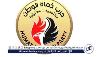 “حماة الوطن” يؤيد إعلان القاهرة لقمة منظمة الدول الثماني النامية.. ويشيد بكلمة الرئيس السيسي