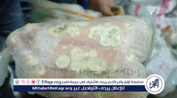 حملة تموينية تضبط دواجن ولحوم فاسدة في أسواق الإسكندرية