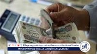 خبير اقتصادي يكشف أهمية التحول للدعم النقدي في تعزيز الشمول المالي (فيديو)