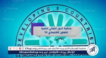 “خلق فرص جديدة”.. أهم مبادئ منظمة الدول الثماني النامية للتعاون الاقتصادي