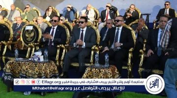 “خير وطن”.. احتفالية كبرى لدعم غير القادرين بمحافظة الفيوم