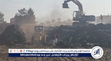 رفع 41 ألف طن مخلفات في إطار الاستعداد لإعلان الدقهلية بلا مقالب عشوائية خلال أيام