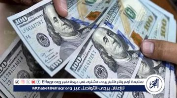 سعر الدولار اليوم الثلاثاء 17-12-2024 أمام الجنيه المصري