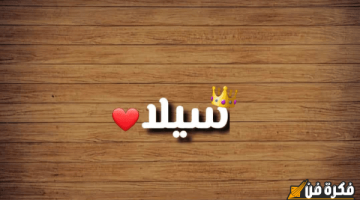 اسم سيلا بالإنجليزي: اكتشف كيف تكتب هذا الاسم الجميل بطريقة صحيحة وجذابة!