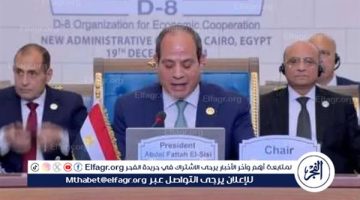 شاهد الرئيس السيسي يشارك بجلسة الأوضاع في فلسطين ولبنان بقمة الدول الثماني النامية (فيديو)