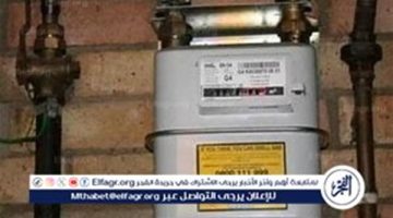 شركة بتروتريد تُحذر من التأخير في سداد فاتورة الغاز الطبيعي لشهر ديسمبر 2024