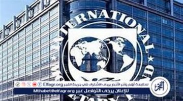 صندوق النقد الدولي يتوقع فائضًا أوليًا للموازنة المصرية بنسبة 4% في 2025-2026
