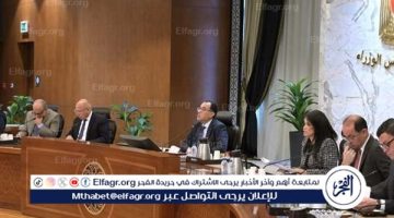 عاجل:- الحكومة تخصص 1119 فدان لأنشطة الإنتاج الداجني في وادي النطرون