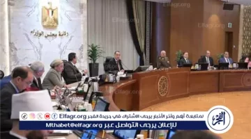 عاجل:- الحكومة تعتمد مشروعات طاقة الشمسية والأسمدة جديدة في مصر