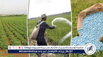 عاجل من “الزراعة” بشأن ضوابط جديدة لصرف الأسمدة المدعمة إلكترونيًا