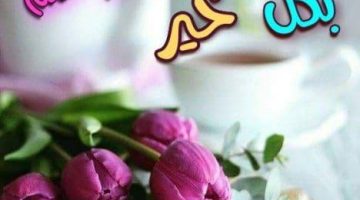 الرد على “أسعد الله صباحكم”: كيف تُعبر عن مشاعرك بصورة إيجابية وتجعل اليوم أكثر إشراقًا؟