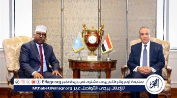 في بيان مشترك.. وزيرا خارجية مصر والصومال يتفقان على أهمية ترفيع العلاقات بين البلدين إلى مستوى الشراكة الاستراتيجية