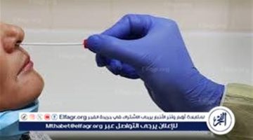 كل ما تريد معرفته عن متحور XEC الجديد