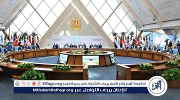 كيف ساندت القمة الـ11 لمنظمة الدول الثماني النامية لبنان وفلسطين؟