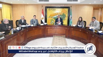 محافظ الفيوم يتسلم مشروع الهوية البصرية التصميمية للمحافظة من وفد جامعة أكتوبر للعلوم الحديثة والآداب “MSA”