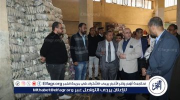 محافظ بني سويف يراجع أرصدة المخزون من السلع الأساسية والتموينية (صور)