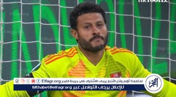 محمد الشناوي يعتذر لجماهير الأهلي في أول تعليق بعد هزيمة باتشيكو.. ويكشف سبب مقولة “أنا ماشي”