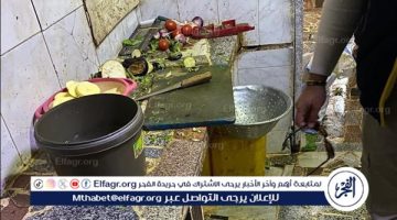 مراقبة الأغذية توصى بالغلق الفورى لـ 100 منشأة لخطورتها على الصحة العامة بالدقهلية