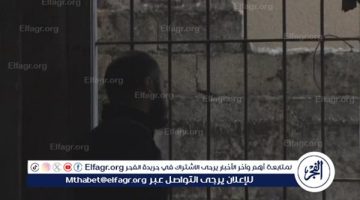 “مسلخ صيدنايا البشري”.. بيت الرعب السوري يكشف عن فظائع لم تُروَ بعد سقوط بشار الأسد