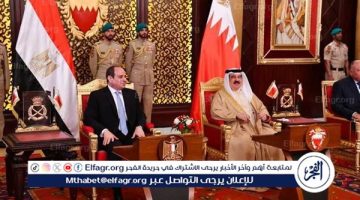 مصر والبحرين تطالبان بضرورة الوقف الفوري لإطلاق النار في غزة