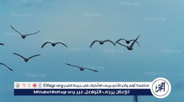 مصفاة بانياس السورية توقف العمليات بعد توقفها عن استقبال النفط الخام