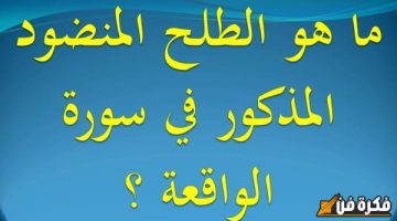 اكتشف أسرار ما هو الطلح المنضود: شجرة البيئة الساحرة وفوائدها المذهلة!