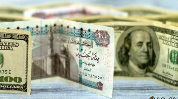 أسعار الدولار اليوم السبت 14 ديسمبر 2024.. وأعلى سعر للدولار في البنوك