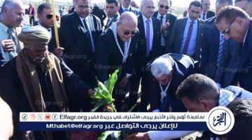 وزير التعليم العالي ورئيس جامعة سوهاج يشاركان بزراعة 60 شجرة مثمرة