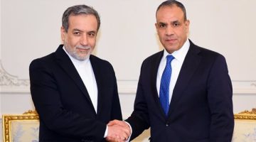 وزير الخارجية والهجرة يعقد لقاءات ثنائية علي هامش فعاليات الدورة الـ٢١ لمجلس وزراء مجموعة الدول الثماني النامية