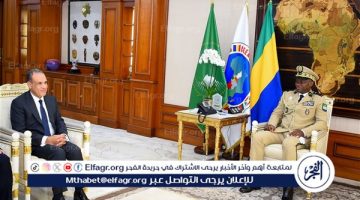 وزير الخارجية والهجرة يلتقي الرئيس الجابوني خلال زيارته إلى ليبرفيل