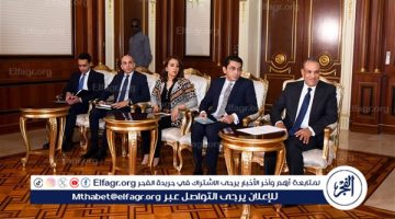 وزير الخارجية يسلم رسالة من “السيسي” إلى رئيس جمهورية تشاد