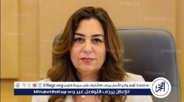 وزيرة التنمية المحلية تصدر قرارا بتعيين عدلى أبوعقيل سكرتيرا عاما لأسيوط وخالد عبدالرؤوف سكرتيرا مساعدا