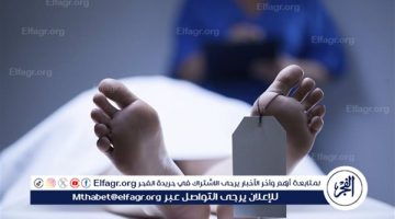 وفاة الضحية الخامسة في حادث طريق كفر شكر