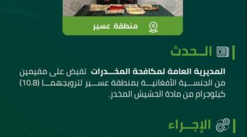 ضبط مقيمين لترويجهما 11 كجم حشيش