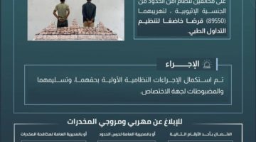 حرس الحدود بجازان يقبض على مخالفين لنظام أمن الحدود لتهريبهما (89550) قرصًا خاضعًا لتنظيم التداول الطبي