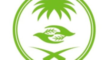 المركز الوطني لتنمية الغطاء النباتي يعلن عن 50 وظيفة عبر (جدارات)