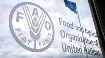 2.1 % انخفاض في أسعار الغذاء