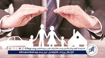 8 مهام للمدير التنفيذي لصندوق التأمينات الخاصة قانون التأمين الموحد.. تعرف عليها