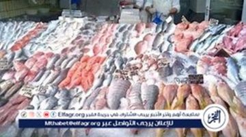 أسعار السمك البلطي والبوري اليوم الاحد 5-1-2024 في محافظة قنا