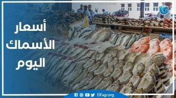 أسعار السمك اليوم الاحد 5-1-2024 في محافظة قنا