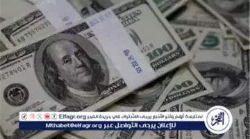 استقرار سعر الدولار مقابل الجنيه المصري اليوم الجمعة 3 يناير 2025
